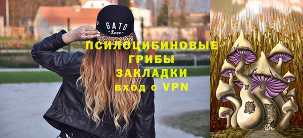 эйфоретик Беломорск