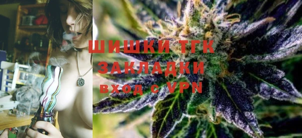 стаф Балахна